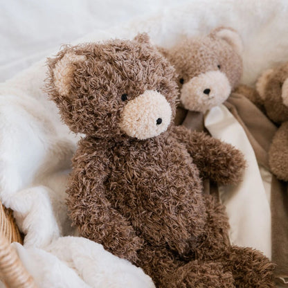 Cubby Bear Book Bundle