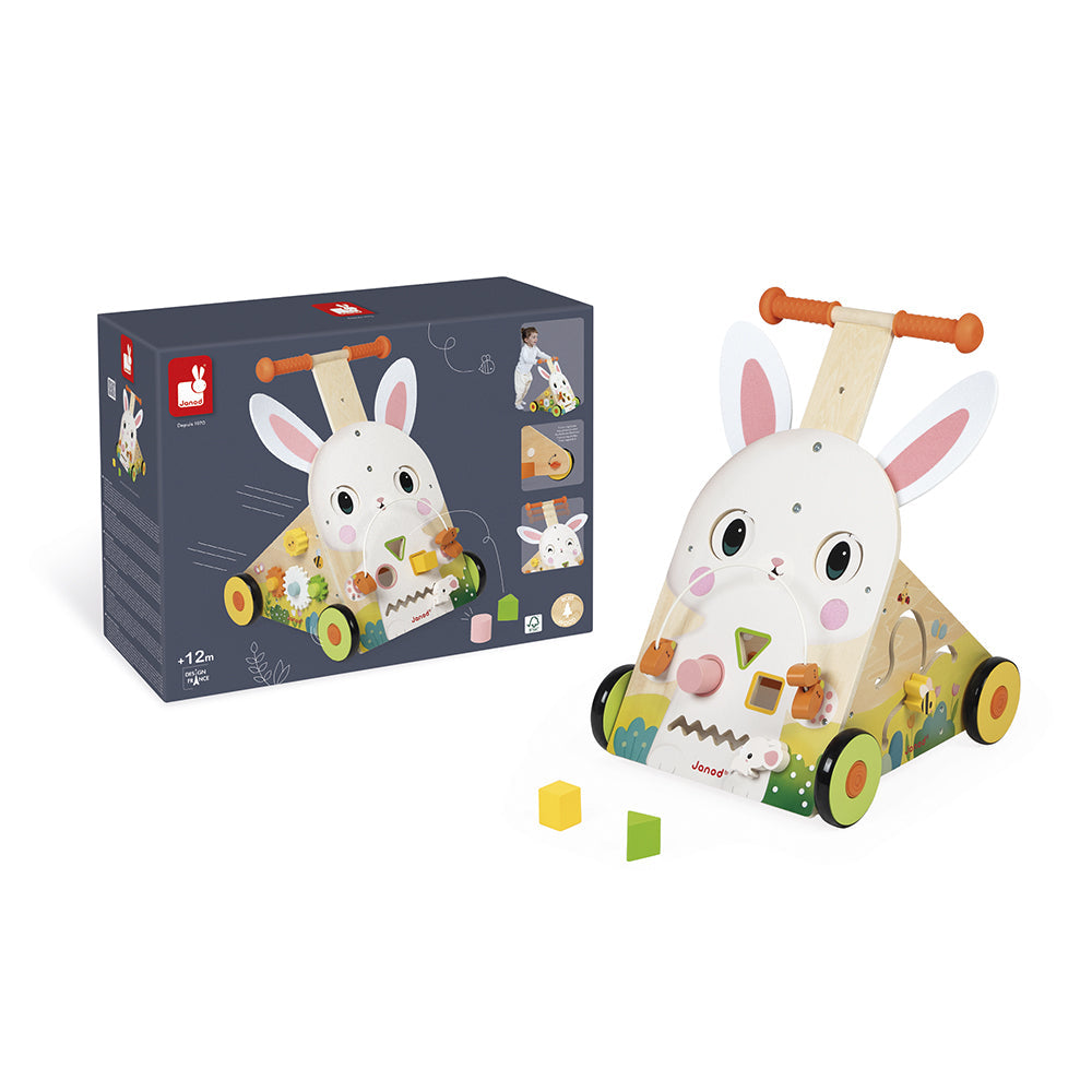 Farm Multi-Activity Baby Walker