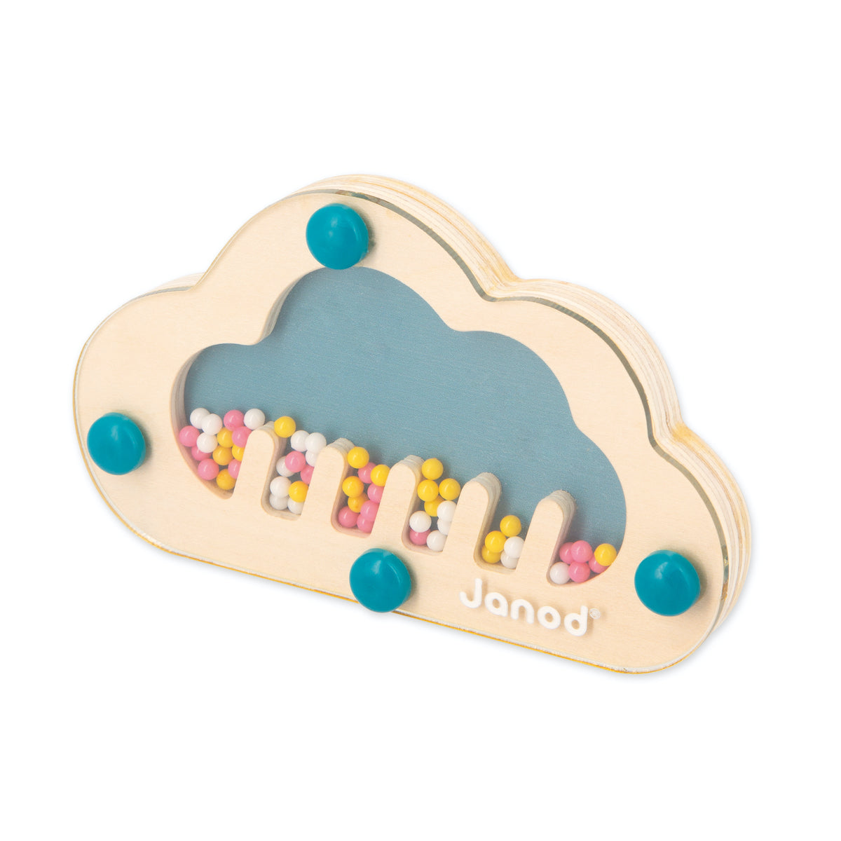 Janod Developmental Activity Box - 12 Months