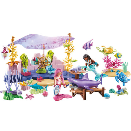 Mermaid Animal Care Playset
