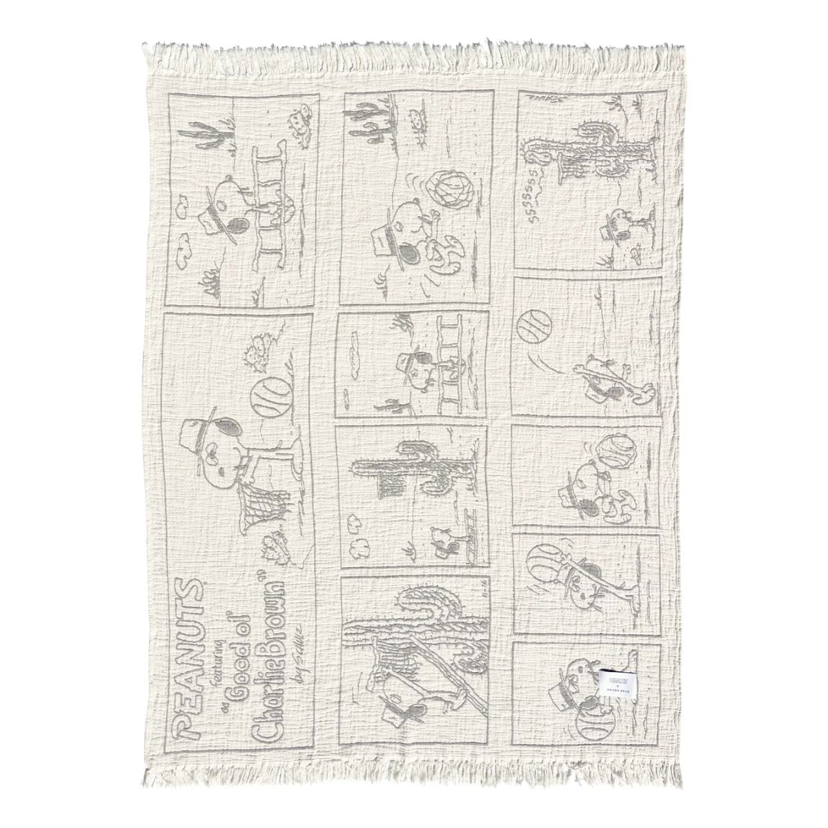 Peanuts Blanket Comic Dessert