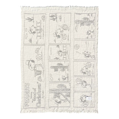 Peanuts Blanket Comic Dessert