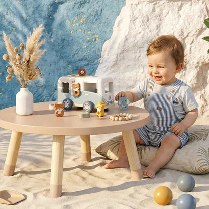 Van Shape Sorter
