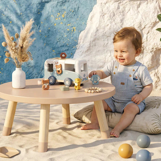 Van Shape Sorter