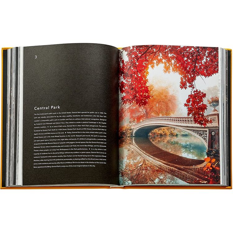 Trope New York Book Leather Edition